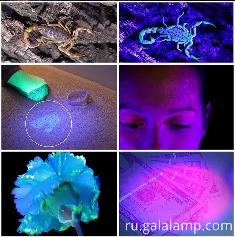 Портативный USB -UV -фонарик для обнаружения поддельных денег